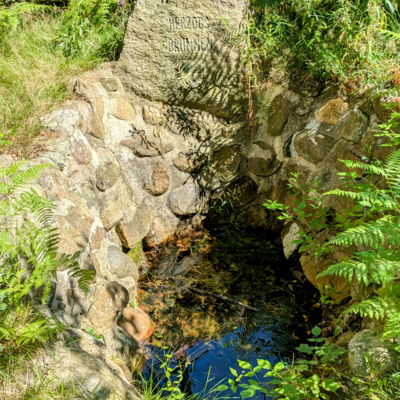Bild vergr&ouml;&szlig;ern: Herzogsbrunnen